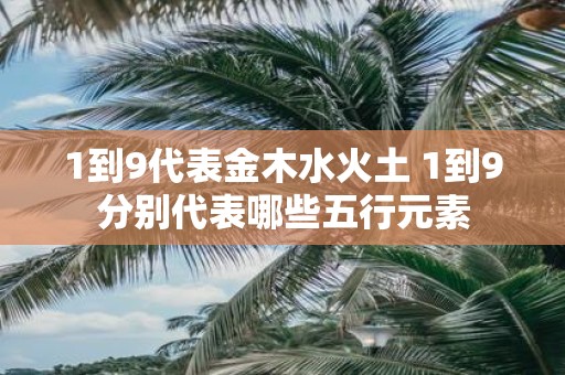 1到9代表金木水火土 1到9分别代表哪些五行元素