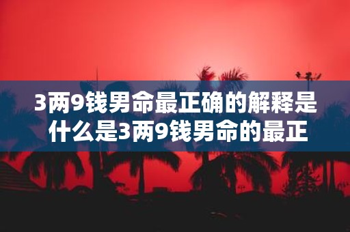 3两9钱男命最正确的解释是 什么是3两9钱男命的最正确的解释