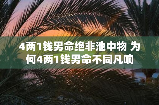 4两1钱男命绝非池中物 为何4两1钱男命不同凡响