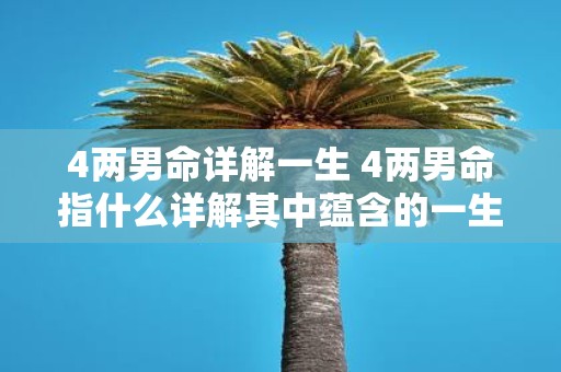 4两男命详解一生 4两男命指什么详解其中蕴含的一生命运特点和命运走向