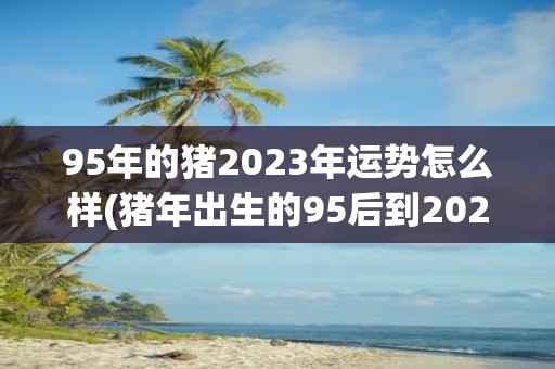 95年的猪2023年运势怎么样 猪年出生的95后到2023年运势如何