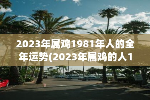 2023年属鸡1981年人的全年运势(2023年属鸡的人1981年出生整年运势如何)