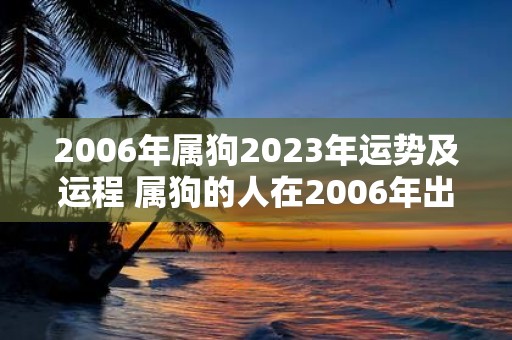 2006年属狗2023年运势及运程 属狗的人在2006年出生2023年的运势和运程会怎么样