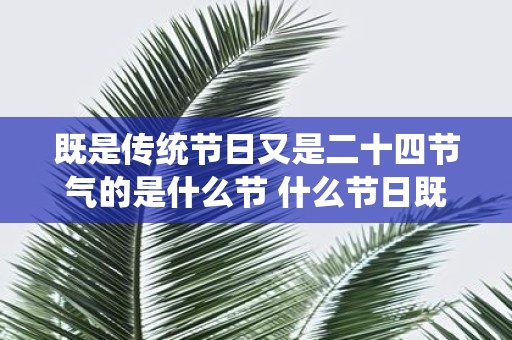 既是传统节日又是二十四节气的是什么节 什么节日既属于传统节日又是二十四节气