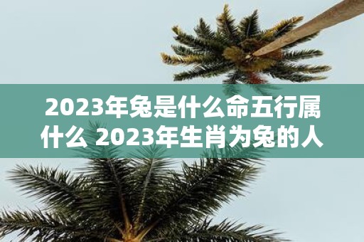 2023年兔是什么命五行属什么 2023年生肖为兔的人属于哪个五行