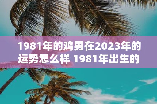 1981年的鸡男在2023年的运势怎么样 1981年出生的属鸡男性在2023年的运势如何