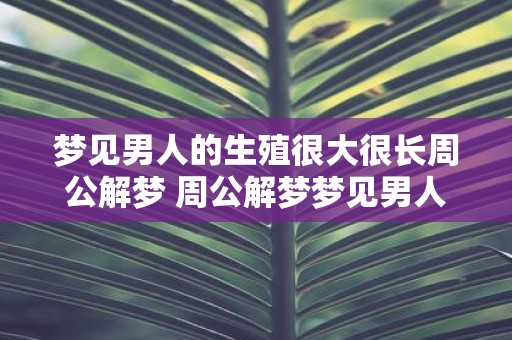 梦见男人的生殖很大很长周公解梦 周公解梦梦见男人生殖器很大很长代表什么意思