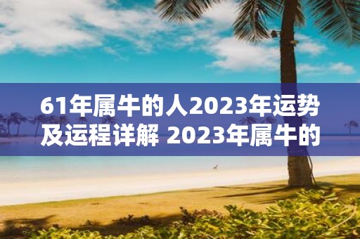 61年属牛的人2023年运势及运程详解 2023年属牛的61岁人的运势及运程如何