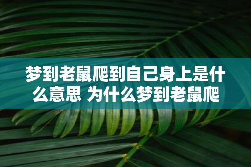 梦到老鼠爬到自己身上是什么意思 为什么梦到老鼠爬到自己身上