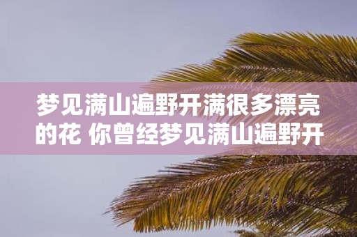 梦见满山遍野开满很多漂亮的花 你曾经梦见满山遍野开满很多漂亮的花吗