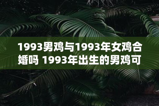 1993男鸡与1993年女鸡合婚吗 1993年出生的男鸡可以和1993年出生的女鸡结婚吗