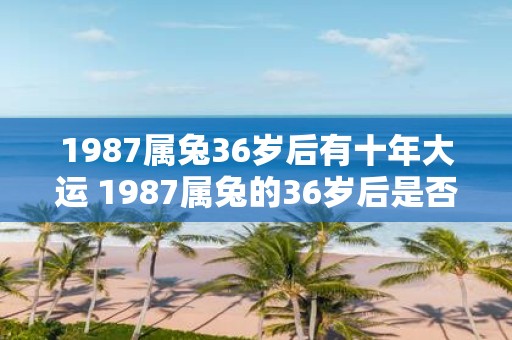 1987属兔36岁后有十年大运 1987属兔的36岁后是否会进入十年大运