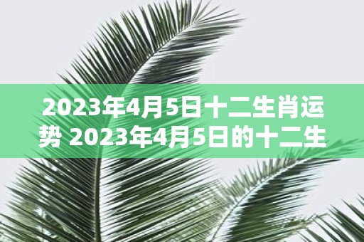 2023年4月5日十二生肖运势 2023年4月5日的十二生肖运势如何