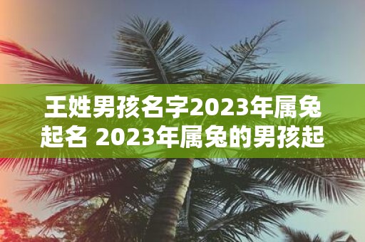 王姓男孩名字2023年属兔起名 2023年属兔的男孩起名应该怎么选王姓男孩的名字