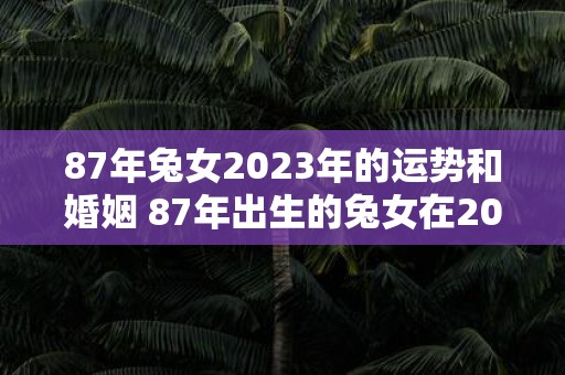 87年兔女2023年的运势和婚姻 87年出生的兔女在2023年的运势和婚姻会如何