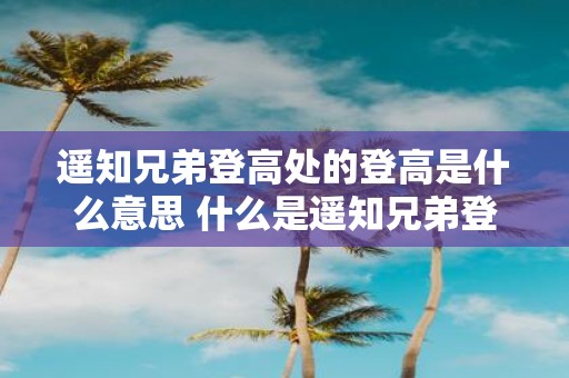 遥知兄弟登高处的登高是什么意思 什么是遥知兄弟登高处的正确解释