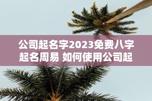 公司起名字2023免费八字起名周易 如何使用公司起名字2023免费八字起名周易来为企业取名