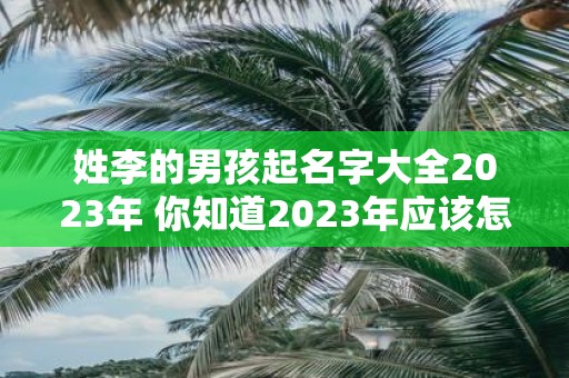 姓李的男孩起名字大全2023年 你知道2023年应该怎么给姓李的男孩起名字才好吗