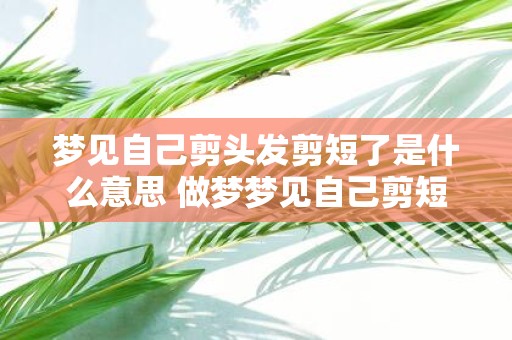 梦见自己剪头发剪短了是什么意思 做梦梦见自己剪短头发这意味着什么