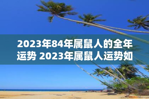 2023年84年属鼠人的全年运势 2023年属鼠人运势如何一整年的运势会如何发展