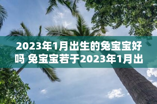 2023年1月出生的兔宝宝好吗 兔宝宝若于2023年1月出生是否优秀