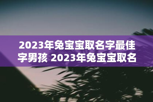 2023年兔宝宝取名字最佳字男孩 2023年兔宝宝取名字时最佳字男孩该起什么名字