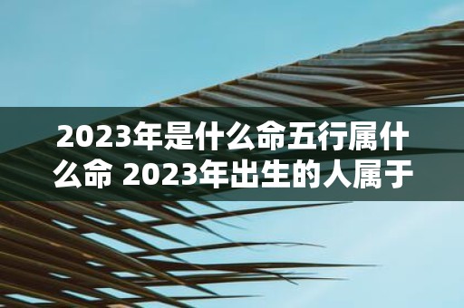 2023年是什么命五行属什么命 2023年出生的人属于什么五行命格