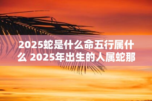 2025蛇是什么命五行属什么 2025年出生的人属蛇那么根据五行理论蛇属于哪个五行呢