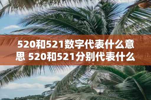 520和521数字代表什么意思 520和521分别代表什么含义为什么这两个数字在某些场合中被广泛使用