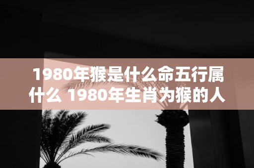 1980年猴是什么命五行属什么 1980年生肖为猴的人属于哪个五行属性