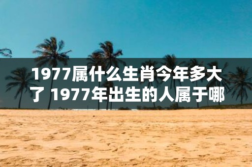 1977属什么生肖今年多大了 1977年出生的人属于哪个生肖今年已经几岁了