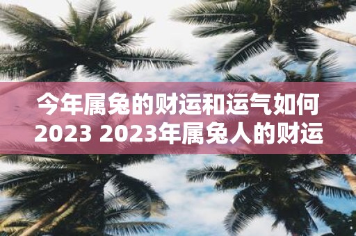 今年属兔的财运和运气如何2023 2023年属兔人的财运和运势如何