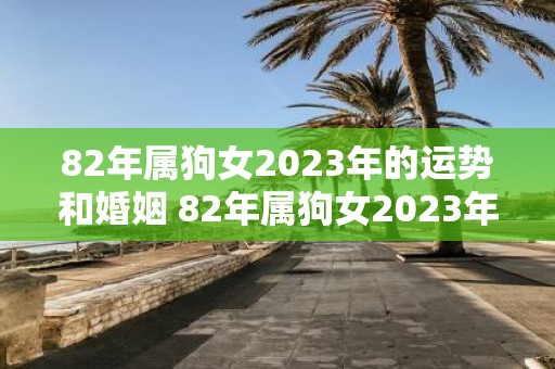 82年属狗女2023年的运势和婚姻 82年属狗女2023年运势如何婚姻前景如何