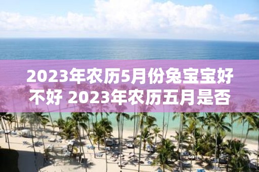 2023年农历5月份兔宝宝好不好 2023年农历五月是否是个适合兔宝宝出生的好时节