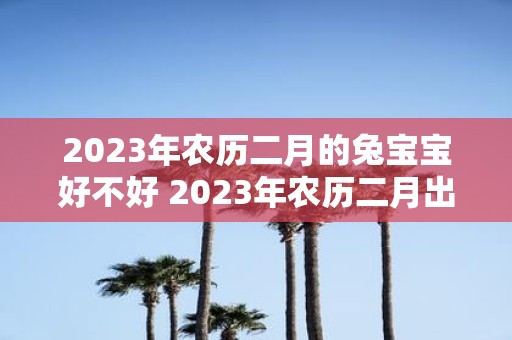 2023年农历二月的兔宝宝好不好 2023年农历二月出生的兔宝宝是否好养