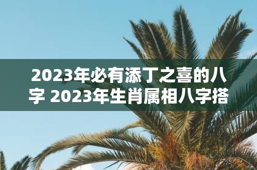 2023年必有添丁之喜的八字 2023年生肖属相八字搭配哪些属相会有喜事到来