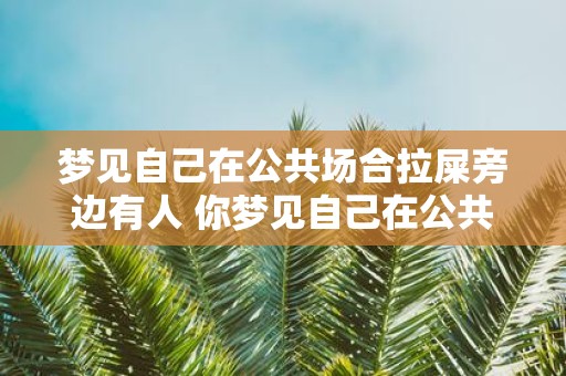 梦见自己在公共场合拉屎旁边有人 你梦见自己在公共场合拉屎旁边有人这代表什么含义