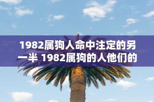 1982属狗人命中注定的另一半 1982属狗的人他们的命运中注定会有怎样的另一半