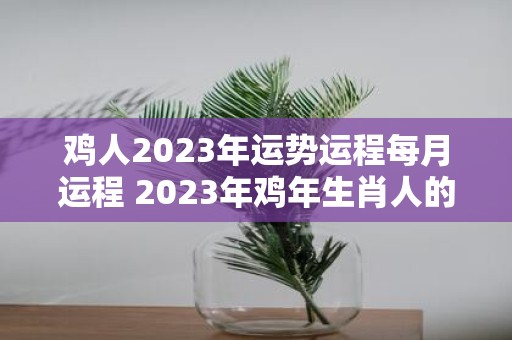 鸡人2023年运势运程每月运程 2023年鸡年生肖人的运势如何每个月的运程有何特点