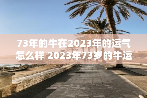 73年的牛在2023年的运气怎么样 2023年73岁的牛运势如何