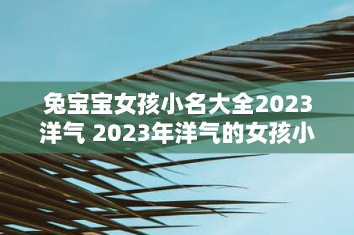 兔宝宝女孩小名大全2023洋气 2023年洋气的女孩小名大全有哪些适合兔宝宝的