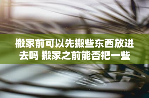 搬家前可以先搬些东西放进去吗 搬家之前能否把一些东西先搬到新家里