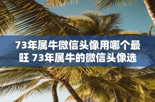 73年属牛微信头像用哪个最旺 73年属牛的微信头像选用哪个最有助于提升运势