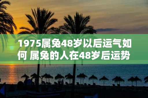 1975属兔48岁以后运气如何 属兔的人在48岁后运势如何