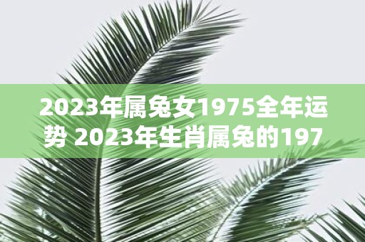 2023年属兔女1975全年运势 2023年生肖属兔的1975年出生的女性全年运势如何