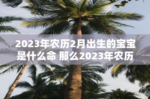 2023年农历2月出生的宝宝是什么命 那么2023年农历二月出生的宝宝属于什么命呢