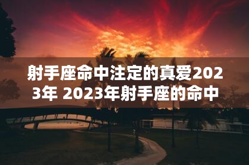 射手座命中注定的真爱2023年 2023年射手座的命中注定真爱是谁