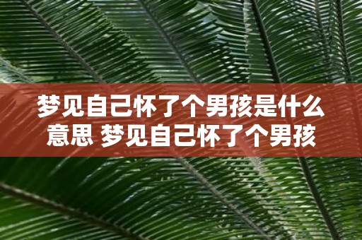 梦见自己怀了个男孩是什么意思 梦见自己怀了个男孩这是什么意思