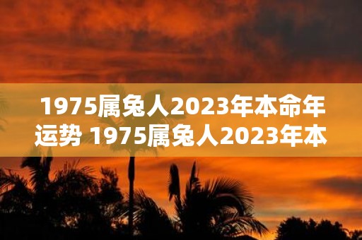 1975属兔人2023年本命年运势 1975属兔人2023年本命年的运势如何