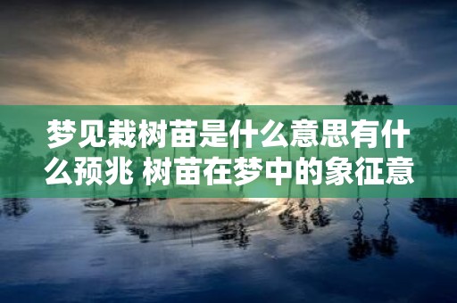 梦见栽树苗是什么意思有什么预兆 树苗在梦中的象征意义和何种预示